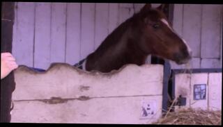 Video 1656850851: retro doggy style, pussy drilled doggy style, doggy style drilling teen, doggy style dick riding, doggy style sucking dick, babe drilled doggy style, doggy style cowgirl pussy, teen slut doggy style, hardcore doggy style drilling, dick anal doggy style, sucking big dick doggy, blowjob doggy style pussy, amateur doggy style pussy, german hardcore blowjob doggy, blowjob doggy style facial, drilled hard doggy style, boy friend doggy style, doggy style pussy eating, blonde slut doggy style, hot slut doggy style, doggy styled jizzed, hottest amateur doggy style, doggy style straight, doggy style sprayed, harder doggy style, doggy style hd, slutty teen sucks dick, sexy teen sucking dick, dick amatuer