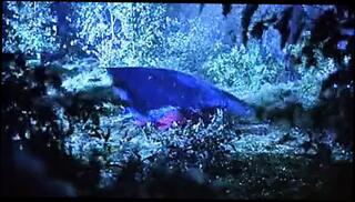 Video 306398301: patricia arquette, tits nudist, nudist straight, nudist outdoor, blonde nudist, nudity, softcore, hairy, big natural tits boobs, big boobs celebrity, nipples, sexy, pussy, babe, ass