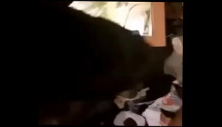 Video 1591916275: shemale sissy, sub sissy