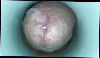 Video 365247601: masturbate cum cam, cock big cum masturbation, amateur cam masturbation, webcam masturbation cum, gay masturbation cum, old gay man cum, masturbating asian cums, amateur masturbation hd, sloppy cunt