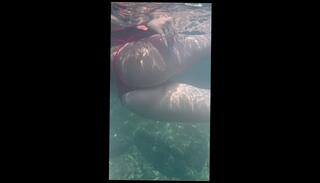 Video 1656546183: amateur sexy teen horny, amateur horny sexy girl, sexy ass teens girl, sexy asian horny girl, horny amateur latin teen, horny college girls amateur, sexy hot horny girl, horny big ass amateur, perfect ass latin teen, fat ass latin teen, horny korean girl, sexy japanese girl's hot, old college teen girl, student pussy, sexy swim, horny underwater