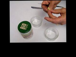 Video 1657488333: solo massage, solo male handjob masturbation, solo male anal masturbation, amateur solo male masturbation, oil hard cock, cock prostate, italian massage, oiled natural