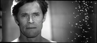 Video 326981304: charlotte gainsbourg