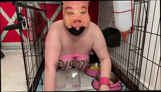 Video 1305037725: cage humiliation, piss humiliation, piss drinking fuck, piss porn, pig piss, drinking piss eating, pissing fat