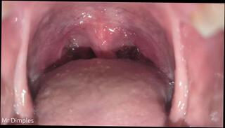 Video 1653656683: vore fetish, fetish solo, amateur solo male, giant vore, tongue fetish