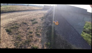 Video 1595305025: cock sucking ball licking, blowjob balls licking, cock sucking neighbor, sucking cock public, wet cock sucking, very balls