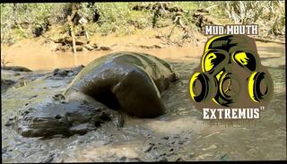 Video 1658807801: gay studs humiliate white, stud solo masturbation, gay humiliation slave, solo hairy masturbation, hairy studs ass, amateur hairy stud, hairy dick solo, hairy cock solo, humiliate male slave, hairy men solo, hairy guy solo, hairy man solo, solo gay boy masturbates, amateur homemade solo masturbation, hairy naked gay men, solo masturbation huge cock, hairy big cock masturbation, solo trap masturbating, solo bath masturbation, shot solo masturbation, filled stud's dick, solo masturbation extreme, penis humiliation, cock european stud, hairy french amateur, solo masturbation hd, hairy pits, skinned stud