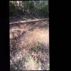 Video 1600389371: solo bbc masturbation, bbc solo cum, bbc solo cumshot, bbc caught, solo cock masturbation cum, cumshot masturbation gay solo, caught masturbating amateur, solo big cock masturbation, bbc bust nut, man caught masturbating, caught masturbation public, caught masturbating outdoors, bbc big black cock, caught masturbating hd, solo men masturbating, african amateur bbc, caught rubbing, bbc catches, juicy bbc, american bbc, public park masturbation