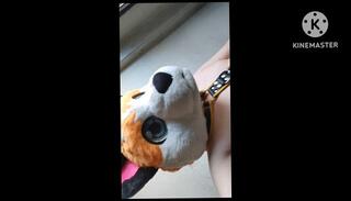 Video 1656080713: pov amateur solo male, pov solo dick, cartoon furry, pov solo female, cartoon sex big dick