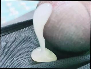 Video 1598488751: crossdresser femboy cum, femboy solo cum, femboy solo masturbation, femboy solo ass, amateur femboy solo, vintage shemale solo, shemale solo pov, pov solo cumshot, fetish solo masturbation, cute femboy solo, pov panty fetish, hot fetish vintage, solo cock masturbation cum, pov handjob cum, big cock solo cum, solo orgasm cum, femboy cums young, pov ruined orgasm, cum close solo, pov handjob hd, squeezing milk