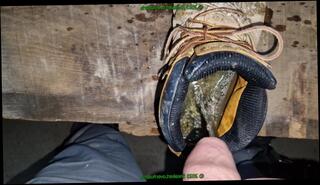 Video 1592720373: fetish gay piss, fetish gay solo, solo male piss, amateur gay piss, dirty piss, piss boots, piss shoes, piss shower, piss time, piss wet, pissing old
