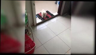 Video 1621414385: dogging compilation, compilation cute, webcam porn cam, amateur cam porn, baby