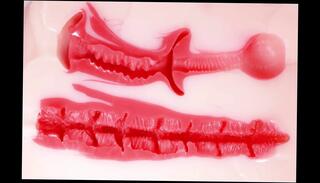 Video 1658815831: latex oil, oiled chubby, fingering oiled, fingering fuck sex toys, fingering masturbation toys, fingering anal toying, oil gay sex, homemade fingering sex, chubby gay men, chubby asian masturbates, chubby american, male oil, oil hd