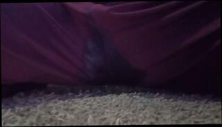 Video 1655715203: pissing peeing fetish, solo pee fetish, solo male pee, amateur pee, pee wets