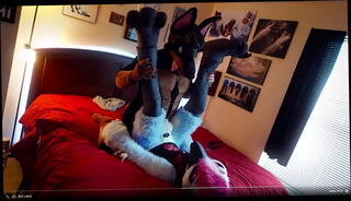 Video 1478707755: furry porn animation, furry sex animation, furry gay animation, gay furry anal, gay furry blowjob, furry masturbation, anime amateur, anime public