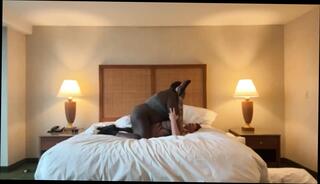 Video 1659180091: tiny milf pussy, milf interracial anal, milf interracial ass, amateur milf interracial, milfs first interracial, redhead milf interracial, pussy tiny ass hole, anal interracial couple, big ass milf anal, milf anal hd, straight interracial, tiny friend