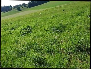 Video 1589930671: voyeur massage, gay massage handjob, amateur gay massage, voyeur amateur masturbates, bike, outdoor massage, hd massage, nude wank
