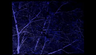 Video 1656906795: tits times, beautiful tits