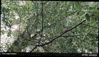 Video 820804201: hairy pussy sex, hairy pussies straight, hairy pussy exposed, hairy celebrity pussy, hairy pussy flashing, hairy pussy outdoors, hairy pussy wildly, hot hairy pussy, hottest hairy, outdoor sex action