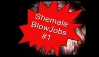 Video 18200445: shemale bisexual, bisexual tranny, bisexual oral, bisexual blowjob, shemale transvestite, shemale travesti