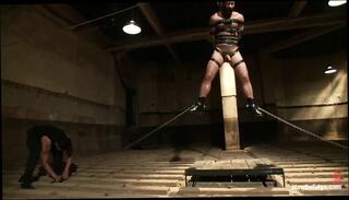 Video 1655198411: bdsm gay bondage whipping, hairy stud, gay bondage handjob, stud experiences, hairy french, hd hairy