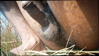 Video 1657917091: hairy pissing gay, solo piss masturbation, hairy solo cum, hairy teen solo, hairy guy solo, solo piss play, pissing boy nude gay, pissing gay porn boys, cumshot masturbation gay solo, solo fuck masturbating cumshot, amateur homemade solo masturbation, pissing young gay boy, masturbation indian boy solo, boy masturbating hot solo, gay porn piss loving, pissing blowjob cum, desi boy solo, cum filled hairy, hottest homemade hairy, solo masturbation hd, india solo