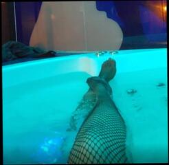 Video 1605405081: bbw ssbbw, bbw bisexual, bisexual students, straight bisexual, ssbbw shower, private bbw, bisexual coeds, german ssbbw, bbw stockings, bbw fishnet