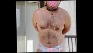 Video 1607928095: diaper bondage, diaper humiliation, bdsm leashed, diaper boy, bondage tied, outdoor bondage, bondage guy
