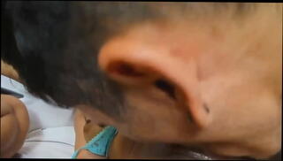Video 1466295345: domination punish, teen pussy punished, punishment sex porn, domination porn dick, hardcore sex punishment, domination pussy ass, deep throat punishment, punishment rough teen, dominate big black cock, big butt domination, oral domination, homemade domination, punished blowjob, teen pussy seduction, shaved pussy deep throat, petite teen