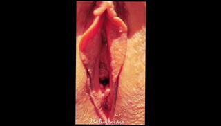 Video 1665709753: wide open, milf mature cougar stepmom, milf cougar bbw mature, milf stepmom cougar big, bbw milf solo, homemade amateur milf stepmom, amateur wife milf stepmom, bbw milf wife's pussy, bbw milf hot wife, bbw mature aunty, blonde milf cougar mature, milf step auntie, solo female bbw, bbw pussy spread, milf spreads legs wide, stepmoms cunt, big pussy lips milf, milf bald pussy, bbw pussy close, bbw pink pussy, amateur czech milf, aunty dress, stepmom fantasy, horny spreading, super spread