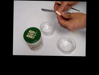 Video 1657674233: amateur solo handjob, amateur solo anal, oil hard cock, solo male handjob, solo blowjob, italian solo