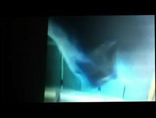 Video 132938601: ass play sex toys, sex toys playing amateur, ass ebony toying, black ass toy, straight ass play, bottle ass