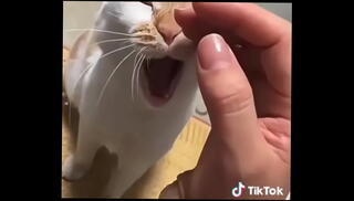 Video 1654420875: teen toys, tits toying