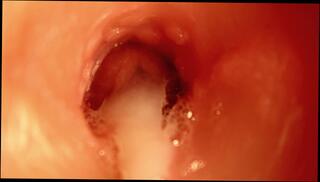 Video 1655586693: fetish creampie, creampie amateur cumshot blowjob, creampie blowjob amateur anal, anal orgasm creampie close, pussy creampie cumshot, anal toy creampie, big dick anal creampie, big ass anal creampie, inside anal creampie hard, best creampie cumshot, massive anal creampie, vagina creampie, creampie sperm, camera creampie, hole cumshot