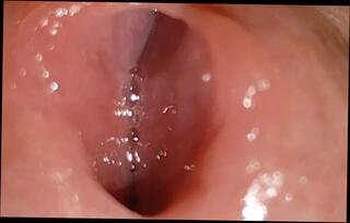 Video 1656420331: twink boys bareback fuck, gay bareback twink boy, daddy fucks twink bareback, amateur twink couple bareback, twink bareback gay porn, twink bareback fucks cum, twink bareback fucking teen, twink boy friends bareback, daddy barebacks asian twink, twink latino bareback fucking, twink big cock bareback, barebacks young twink gay, solo twink boys, twink fucking gaping, twinks bareback cumshot, grandpa solo masturbation, solo straight twink, twink old grandpa, masturbation indian boy solo, gay twinks fucking men, gay guy bareback fucks, fucking bareback hd