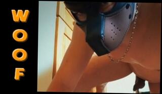 Video 1604442061: amateur french gays, amateur gays love