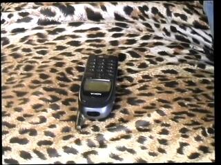 Video 1664508791: lesbian milf dildo, hairy milf dildo, milf solo dildo, sexy milf hairy pussy, dildo masturbate hairy pussy, tits lesbian milf pussy, horny milf solo masturbation, hairy pussy amateur milf, solo girl dildo masturbating, milf lesbian kissing, lesbian dildo sex, lesbian babes dildoing, solo dildo vibrator, solo homemade dildo, milf lesbians pleasuring, beautiful lesbian milf, dildo loving lesbian, brunette milf lesbian, milf solo hd, small tits lesbian girl, lesbian straight girl, lesbian fake penis, italian horny milf, good lesbian sex, stockings milf pussy, pussy licking kissing