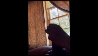 Video 1586513283: bbc solo jerk, fetish solo jerks, bbc solo cumshot, solo bbc masturbation, milf amateur bbc, solo male bbc, big dick solo jerk, bbc public jerk, neighbor cum, cum loving