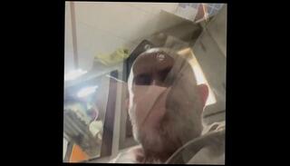 Video 1664831661: hairy solo cum, solo masturbation chubby, chubby hairy gay, hairy chubby amateur, bear chubby hairy fat, hairy men solo, chubby male solo, solo jerk cum, cum load solo, homosexual solo male, huge solo cum, chubby spanish amateur, european solo masturbation, solo masturbation hd, cock jerk cum, big cock jerk cum, cock jerking playing, bathroom jerk