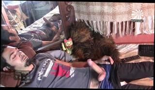 Video 361155003: hairy cock solo, solo hairy masturbation, hairy dick solo, hairy male solo, cock solo webcam amateur, hairy cock balls, solo big cock masturbation, homemade amateur hairy, solo masturbation handjob, long cock solo, solo male masterbation, hairy dancing, long hair solo, big cock sounding, funny cock