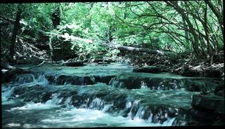 Video 1657367801: solo jerking stud, stud solo masturbation, amateur stud solo, muscle stud solo, solo cock masturbation cum, solo muscle hunk jerks, stud wanks cum, wanking big cock solo, studs gay ass, muscular stud jerking, solo gay man outdoor, solo men wanking, asian hunk solo, studs butt, solo public masturbation, solo masturbation hd, busting