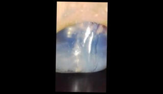 Video 272415801: plug extreme, man gay