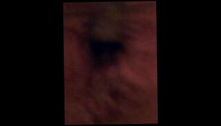 Video 1626735853: gay anal solo, amateur solo anal, solo male anal, ass hole stretched