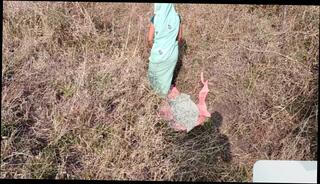 Video 1655536371: aunty fuck desi girl, aunty fucking indian girl, aunty girl sex indian, indian aunty homemade sex, aunty fuck college girl, aunty sex wife, teen girl twerking, indian aunty fuck hindi, indian aunty outdoor sex, aunty girl friend, desi aunty sex romantic, bangladeshi aunty fucked, girl wildly twerks, nudity girl, naked sister, aunty husband, public nudity sex, indian aunty first time, sisters clothes, sister opens, aunty shared, twerk close, man twerking, aunty hd, straight girl fucked