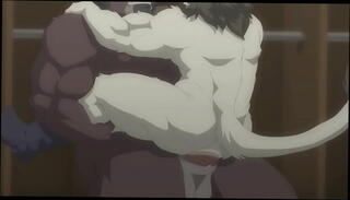 Video 1422217855: furry sex animation, furry gay animation, gay furry anal, anime toys