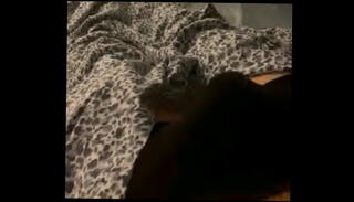 Video 1502053635: amateur gay sex, mastubation, cam