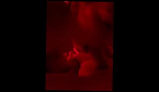 Video 1601296083: small tits amateur babe, tits amateur blonde babe, amateur blowjob small tits, cute small tits babe, amateur blonde college babe, young small tits babe, old amateur babe, babe spits