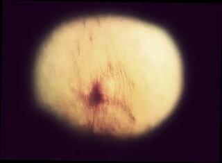 Video 1665502151: goddess slave, fetish goddess, goddess solo, boy sex slave, amateur boy slave, straight boy slave, slave nipple, goddess dirty, goddess licking, female sex slave, solo boy big, slave instructions, sub slave