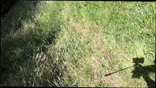 Video 1630424401: gay humiliation slave, solo slave, public humiliation gay, humiliating nude, humiliated british, humiliated outdoors, humiliate old, slave hd, cock naked