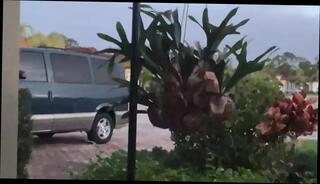 Video 1623188301: cock solo handjob, homemade masturbation solo, gay homemade solo, solo homemade playing, solo close cock, solo outdoor masturbation, solo public masturbation, small cock solo, mature solo masturbation, solo masturbation hd, uncles cock, american homemade
